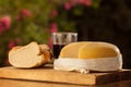 Traditional Spanish Cheese From Galicia Royalty Free Stock Photo