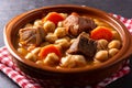 Traditional Spanish cocido madrileÃÂ±o. Chickpea stew
