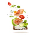 Traditional spanish jamon slices (dried pork meat), fresh herbs, vegetables and sice of bread flying falling isolated