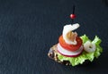 Traditional Spanish tapas reminiscent of a ship with a sail - a sail made of squid, a base of fresh radish, tomato, which lie on a