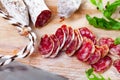 Traditional spanish thin salami sausage Fuet, sliced Royalty Free Stock Photo