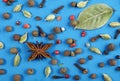 Traditional spices. Anise star, allspice, cardamom, black pepper and bay leaf on a blue background Royalty Free Stock Photo