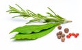 Traditional spices, rosemary branch, bay leaves, pepper