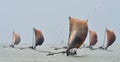 Traditional Sri Lankan fishing boats under sail Royalty Free Stock Photo
