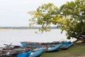 Traditional Sri Lankan Oruwa fishing boats lined in lakeshore Royalty Free Stock Photo