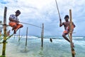 Traditional stilt fisherman in Sri Lanka.