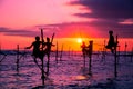 Traditional stilt fisherman in Sri Lanka Royalty Free Stock Photo