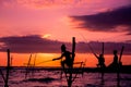 Traditional stilt fisherman in Sri Lanka Royalty Free Stock Photo