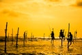 Traditional stilt fisherman in Sri Lanka Royalty Free Stock Photo