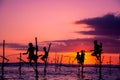 Traditional stilt fisherman in Sri Lanka Royalty Free Stock Photo