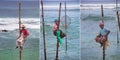 Traditional stilt fishermen on the south coast near Galle