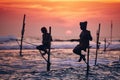 Traditional stilt fishing in Sri Lanka Royalty Free Stock Photo