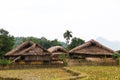 Traditional stilted house this charming home stay belongs to a local Tay family