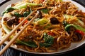 Traditional stir fry of udon noodles with bok choy, shiitake mushrooms, sesame and pepper close-up on a plate. horizontal Royalty Free Stock Photo