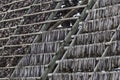 Traditional stockfish hanging in vertical pattern on drying rack