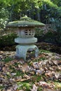 Traditional stone Japanese lantern in autumn