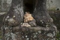 Traditional stone sculpture heads lying at the Sofukuji Temple grounds