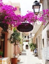 Traditional street amoung bougainvillaea in rethymno city Greece Royalty Free Stock Photo