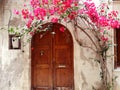 Traditional street among bougainvillaea in rethymno city Greece Royalty Free Stock Photo