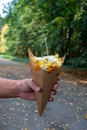 Traditional street food in Belgium and Netherlands, French fried potatoes chips with mayonnaise sauce in paper cone