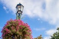 Traditional Street Lamp Post With Petunias