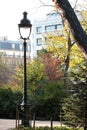 Traditional street light in historical Paris park with fall foliage