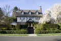 Traditional style house with beautiful front yard