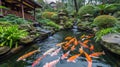 Traditional style garden and pond with Koi