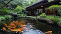Traditional style garden and pond with Koi