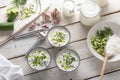 Traditional summer cold soup of homemade yogurt, cucumbers and fresh herbs on a table Royalty Free Stock Photo