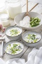 Traditional summer cold soup of homemade yogurt, cucumbers and fresh herbs on a table Royalty Free Stock Photo