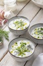 Traditional summer cold soup of homemade yogurt, cucumbers and fresh herbs on a table Royalty Free Stock Photo