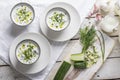 Traditional summer cold soup of homemade yogurt, cucumbers and fresh herbs on a table Royalty Free Stock Photo