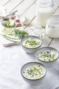 Traditional summer cold soup of homemade yogurt, cucumbers and fresh herbs on a table Royalty Free Stock Photo