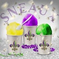 Traditional Summer time Spring Snow Balls New Orleans Louisiana Royalty Free Stock Photo