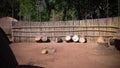 Traditional swati drum at the village near Manzini, Mbabane at Eswatini, former Swaziland