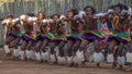 Traditional Swaziland men singing and dancing with traditional attire clothing dancers performing high energy war dance