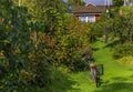 Traditional Swedish old wooden house with a garden in the heart of the city with a bicycle in front in Stockholm, Sweden Royalty Free Stock Photo