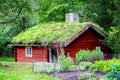 Traditional Swedish wooden house nestled in a lush, green forest Royalty Free Stock Photo