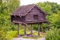 Traditional Swedish wooden house nestled in a lush, green forest Royalty Free Stock Photo