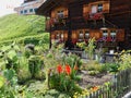 Traditional Swiss country house with cottage garden. St. Antoenien, Grisons, Switzerland. Royalty Free Stock Photo