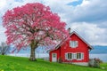 Traditional swiss country manor red house amidst green countryside in switzerland Royalty Free Stock Photo