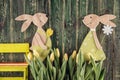 Traditional symbol of spring season like yellow tulips and bunny on wooden background, happy easter time Royalty Free Stock Photo