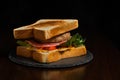 Traditional Taiwan local breakfast ,hamburger with pork steak,hams lettuce tomatos and egg and with black pepper tomato sause