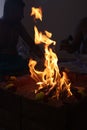 sacred fire or Homam in Hindu tradition in Tamilnadu