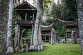 Traditional Tana Toraja village