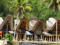 Tana Toraja village, tongkonan houses and buildings. Kete Kesu, Rantepao, Sulawesi, Indonesia