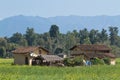 Traditional taru house in Bardia, Nepal