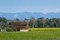 Traditional taru house in Bardia, Nepal