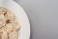 Traditional tasty boiled russian pelmeni, ravioli, dumplings with meat on white ceramic plate on grey background, copy space Royalty Free Stock Photo